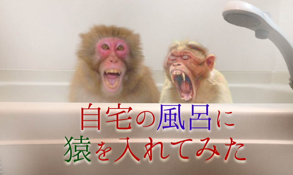 自宅の風呂に猿を入れてみた マジスカスクエアガーデン