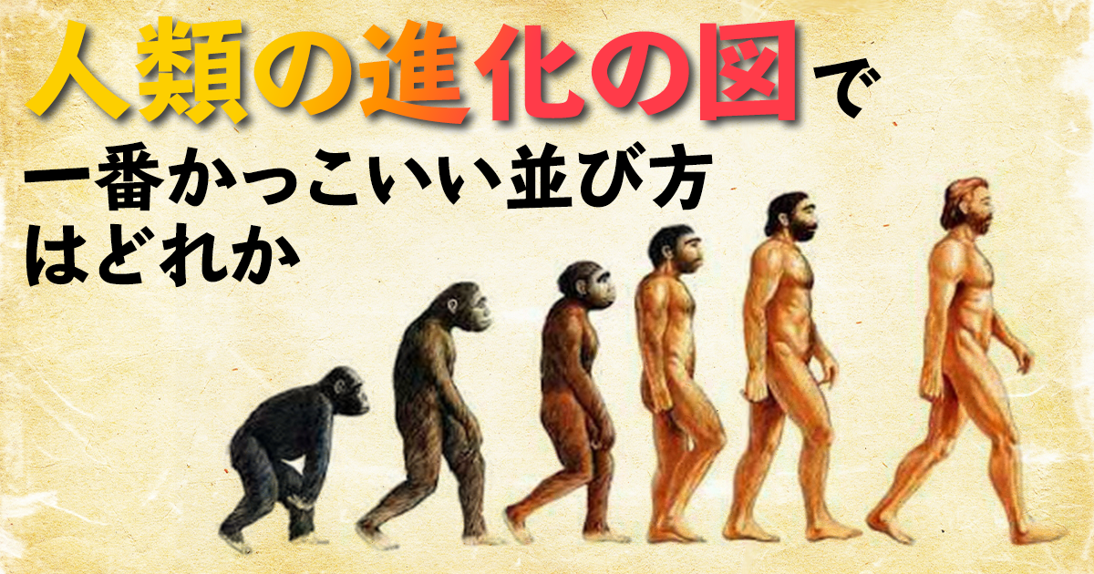 人類の進化の図で一番かっこいい並び方はどれか マジスカスクエアガーデン